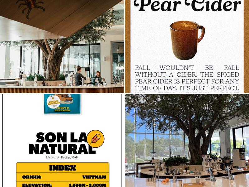 Airship Coffee at The Ledger