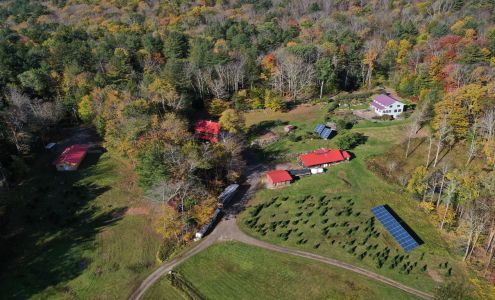 Justamere Tree Farm Worthington