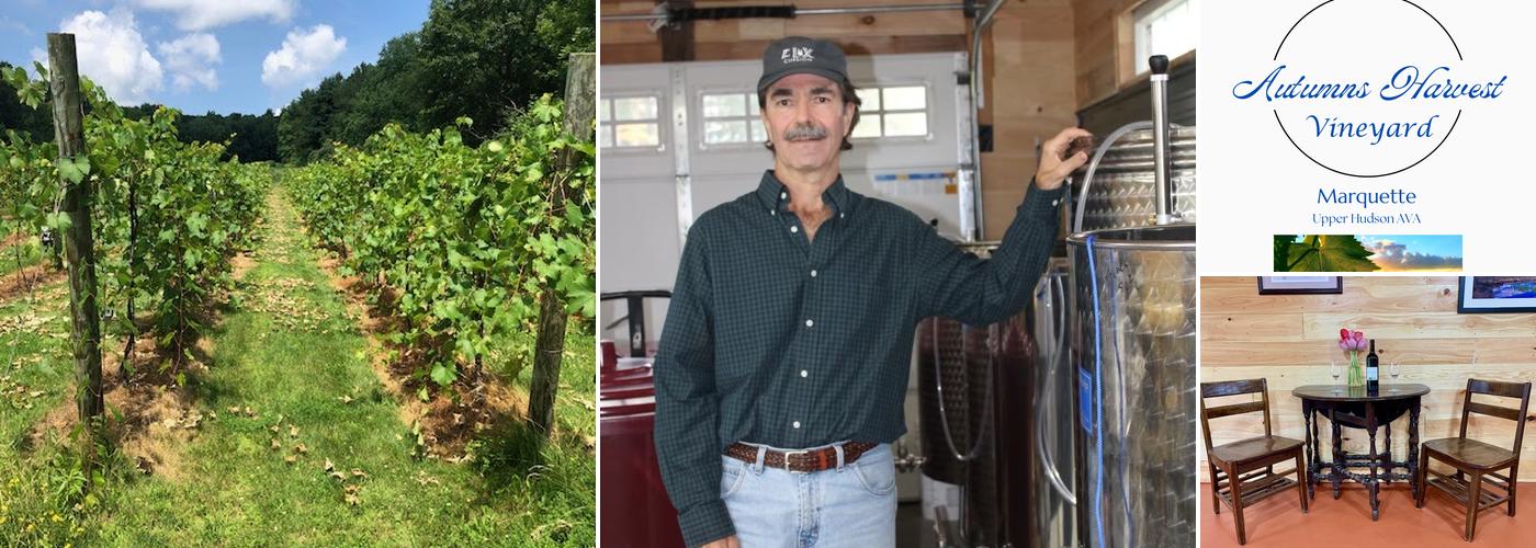 Autumn's Harvest Vineyard