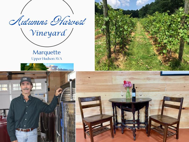 Autumn's Harvest Vineyard