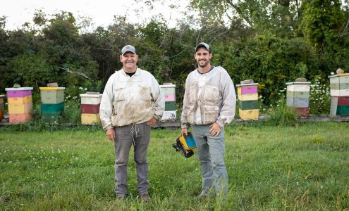 Bee Country, Raw Honey & Bee Farm Darien
