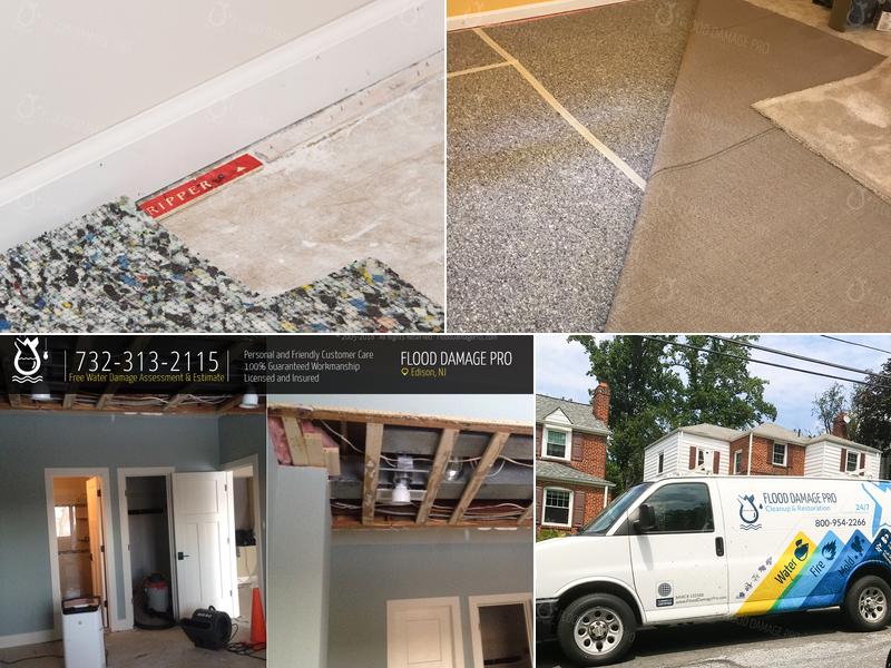 Flood Damage Pro of Edison