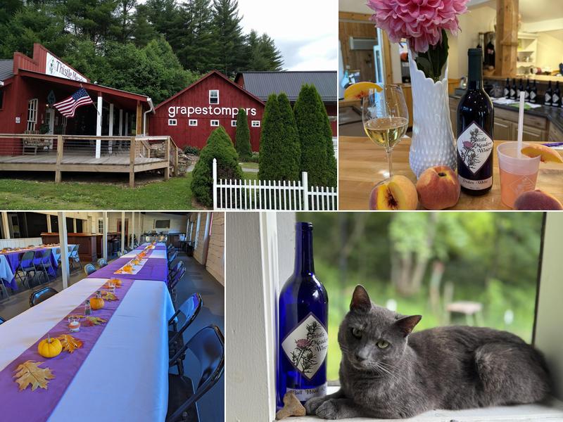 Thistle Meadow Winery