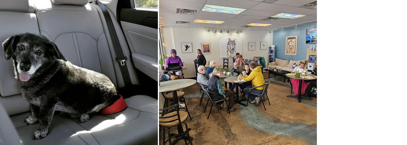 Wolf and Mermaid Enchanted Cafe