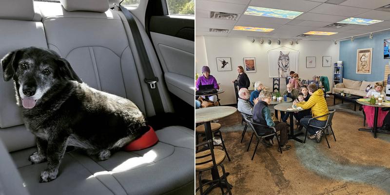 Wolf and Mermaid Enchanted Cafe