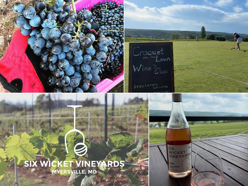 Six Wicket Vineyards