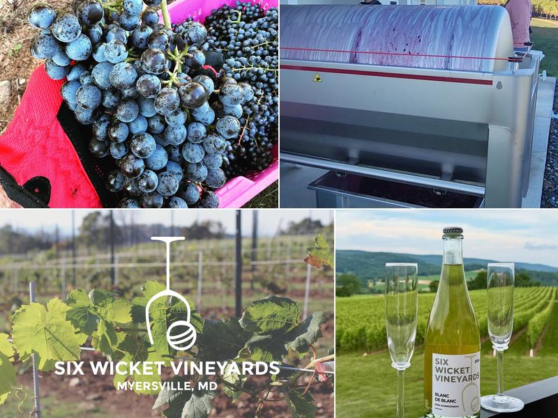 Six Wicket Vineyards