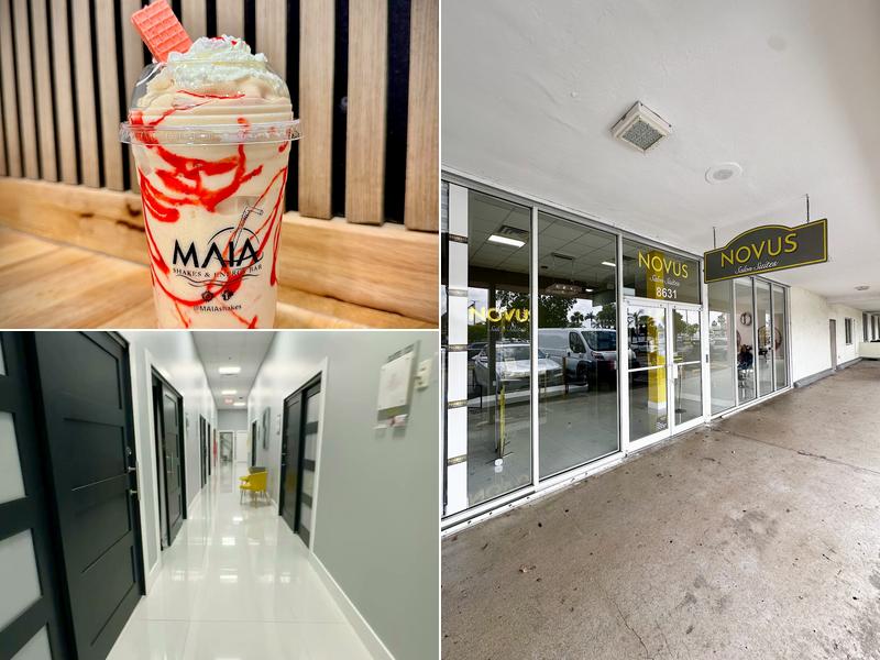 Maia Shakes and Energy