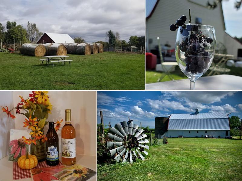 Wilde Prairie Winery