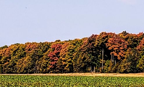 Rine Ridge Farms Inc