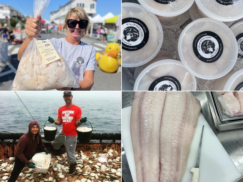 Scallop Shack Farms