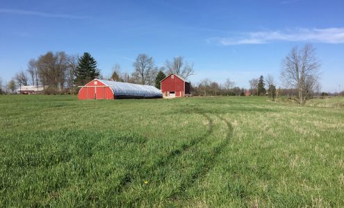 Weber Ranch, LLC Wayne