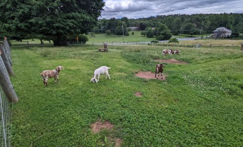 Frush Farm Reinholds