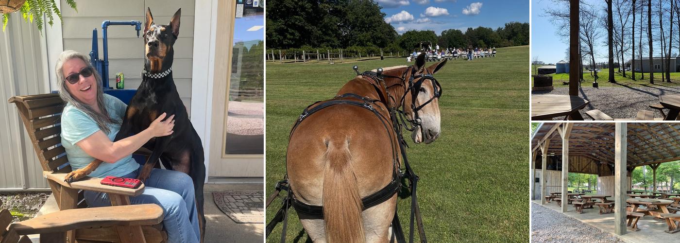 Northfield Vineyards