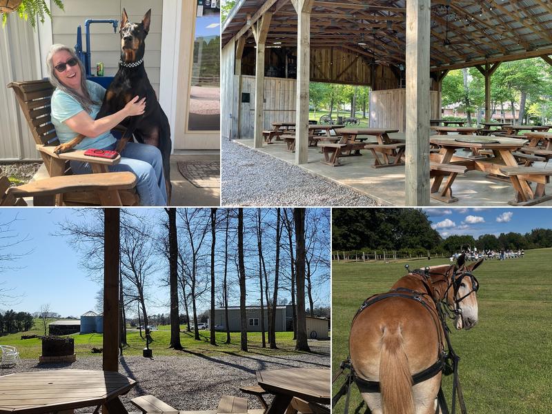 Northfield Vineyards