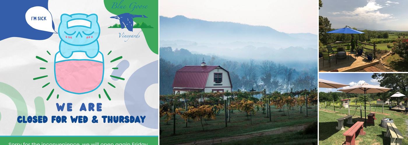 Blue Goose Vineyards