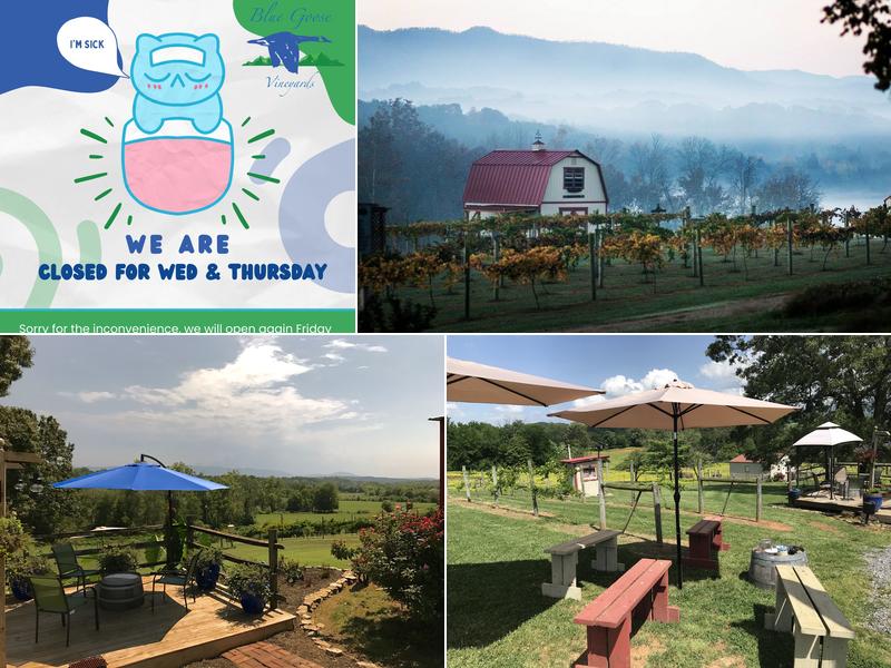 Blue Goose Vineyards