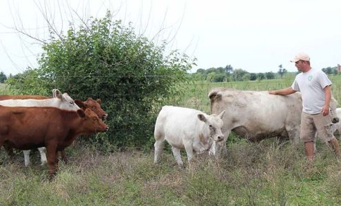 Nature's Choice Farm Grant Park