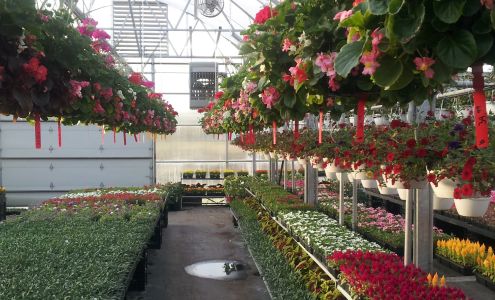 Ruggirello's Landscaping, Greenhouses and Garden Center Kimball
