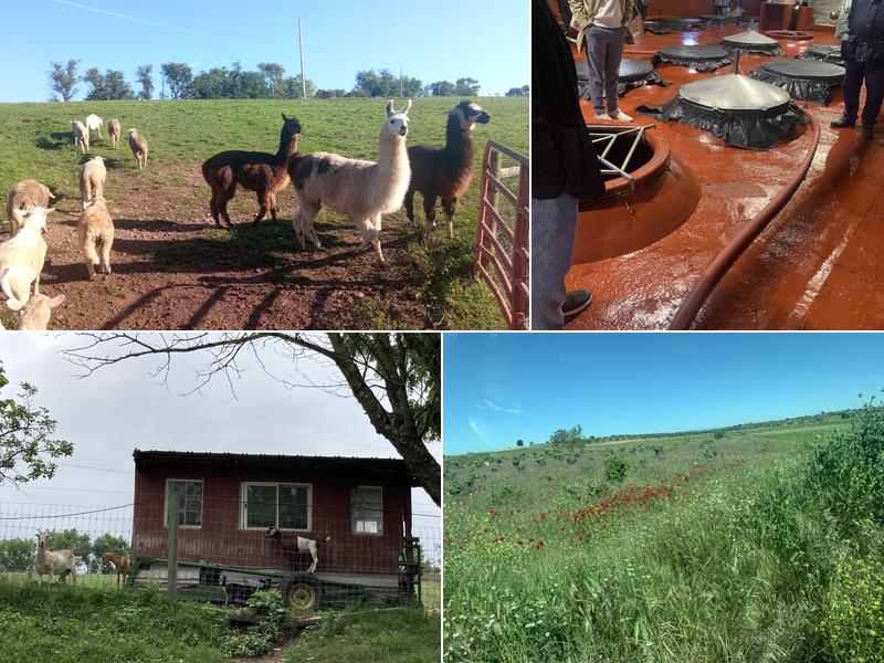 Pedro’s Wine Collection