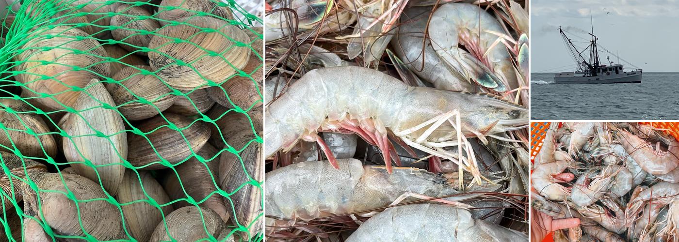 Miss Gina's Fresh Shrimp