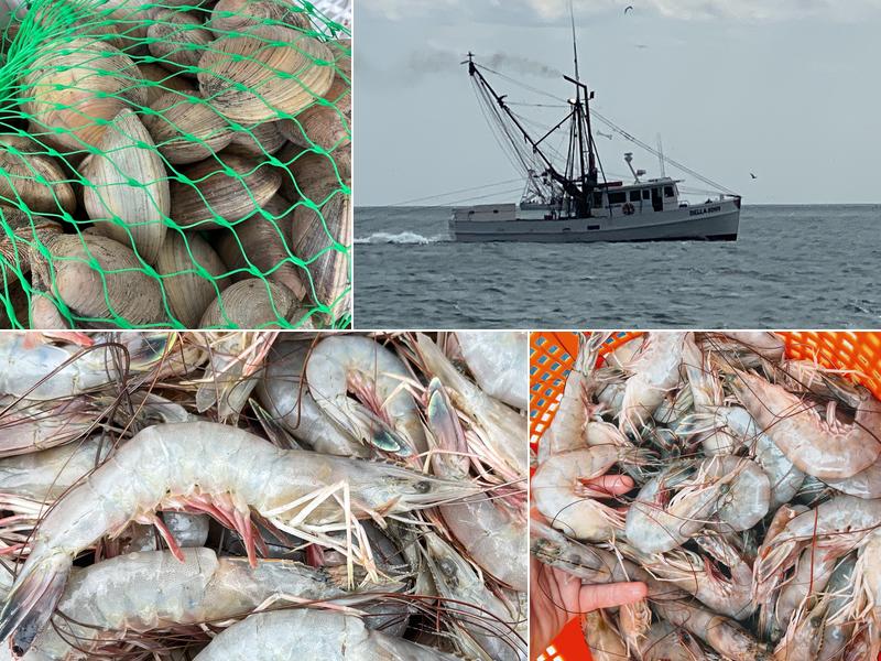 Miss Gina's Fresh Shrimp