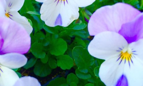 B&B Produce Hardinsburg