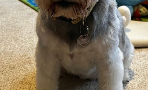 i.d. SPOT Marshfield