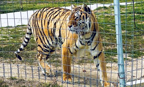 Safe Haven Wildlife Sanctuary Imlay