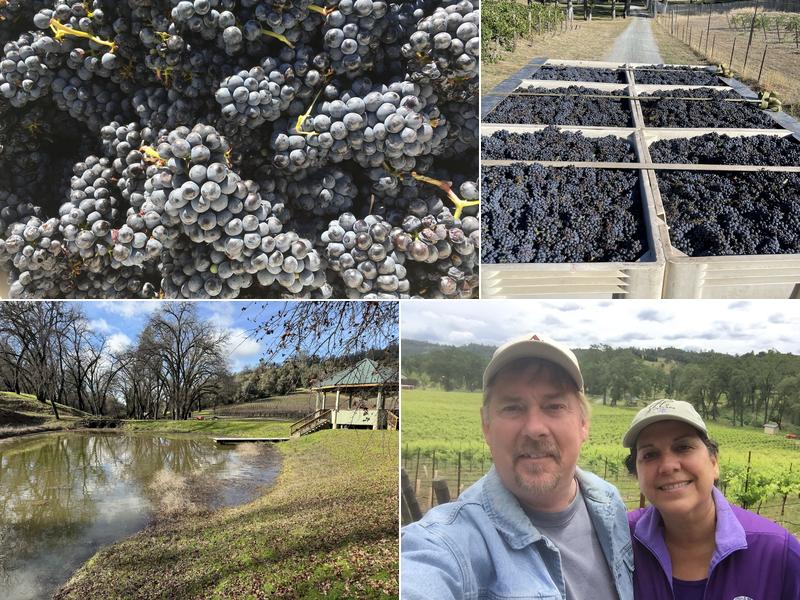 Vista del Mirador Winery