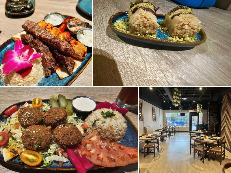 Mediterranean Grill 22 W Broad St, Bethlehem