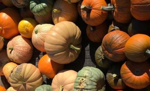 That Pickin Patch Humboldt