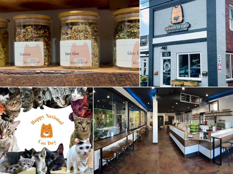 Aristocat Cafe + Tea House