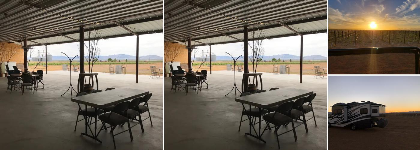 Birds and Barrels Vineyard