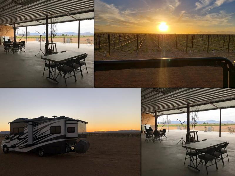 Birds and Barrels Vineyard