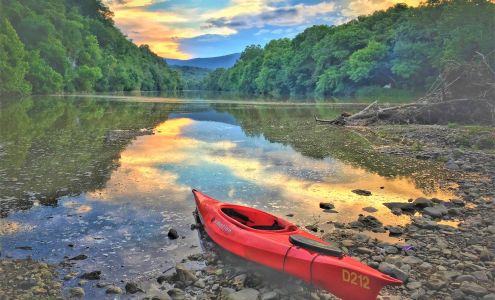 Vienna Arts Society Vienna