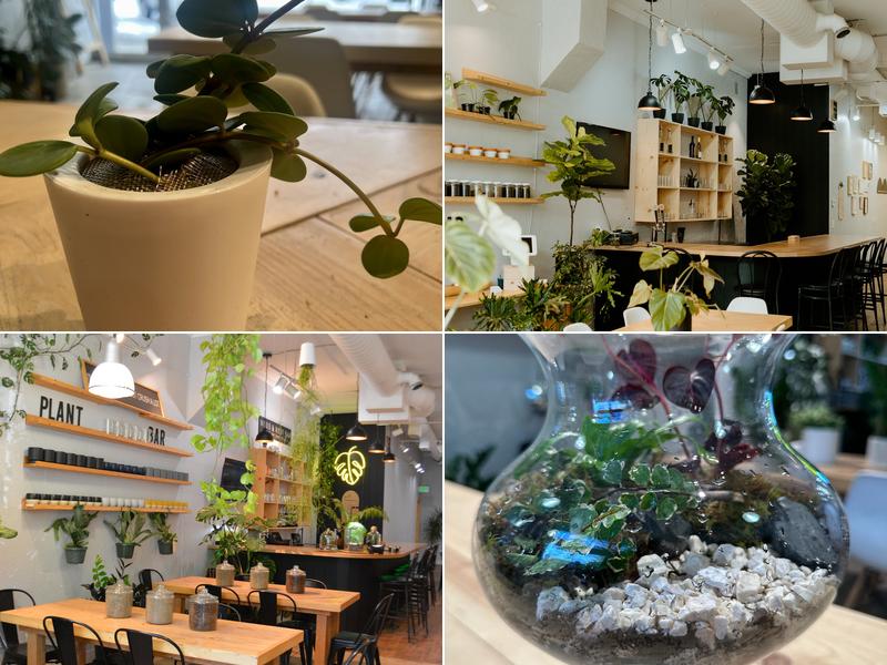 Wood & Root Bar 132 E Idaho Ave, Meridian