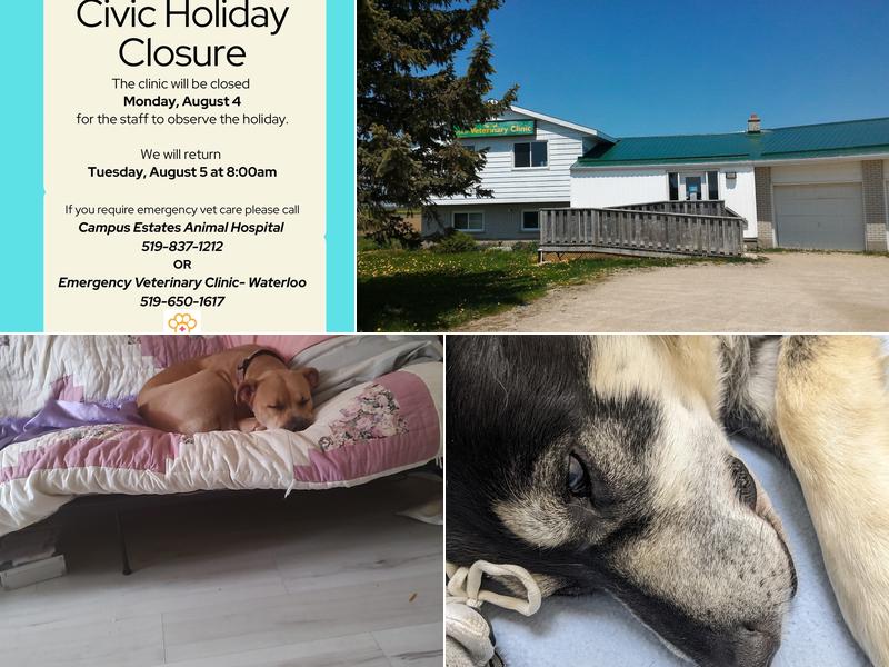 Arthur Veterinary Clinic