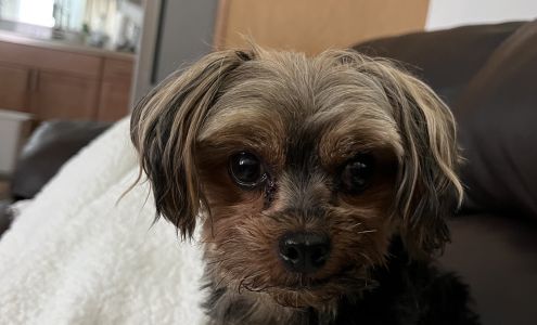 Little Barkletts 303 Greys River Rd, Alpine Wyoming 83128