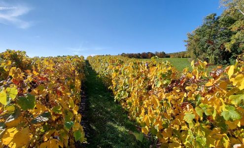 Wishing Well Vineyards Canandaigua
