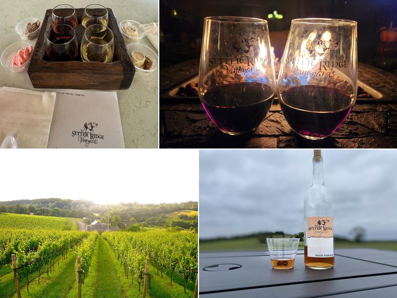 Setter Ridge Vineyards