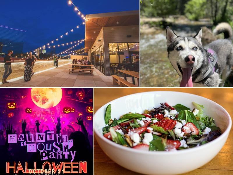 The Roof Top @ 6 Car