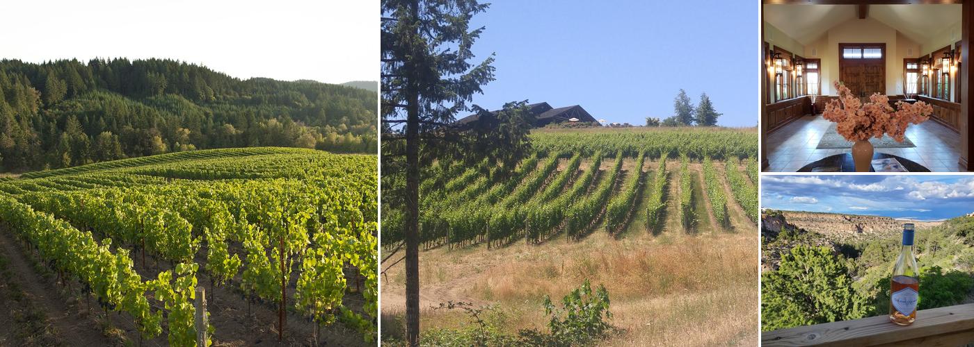 Colene Clemens Vineyards