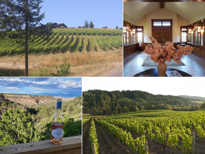 Colene Clemens Vineyards