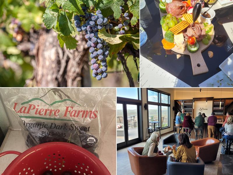 LaPierre Farms & Winery