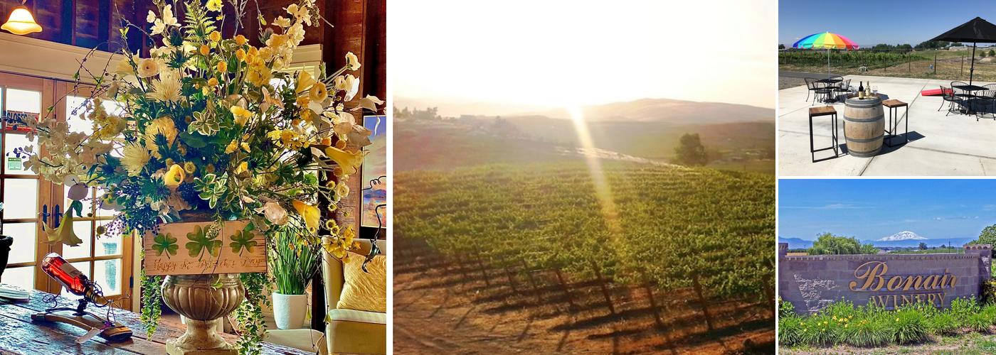 Rattlesnake Hills Wine Trail