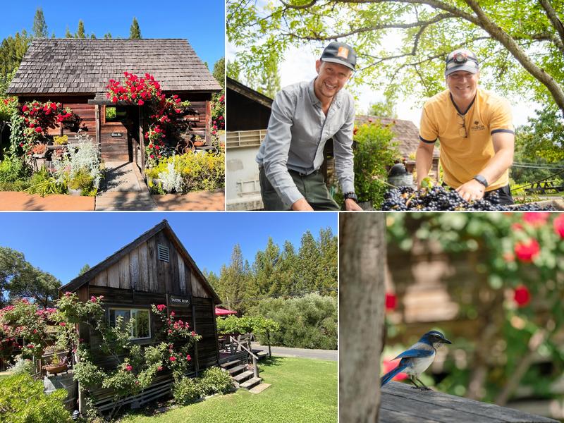 Husch Vineyards & Winery