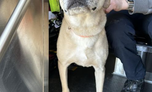 Clifford Police Department Scranton