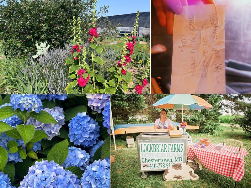 Lockbriar & Daughter ice cream