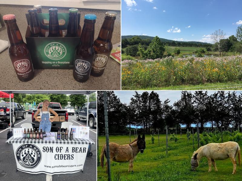 Son of a Bear Ciders